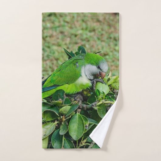 Groene papegaai handdoek (Handdoek)