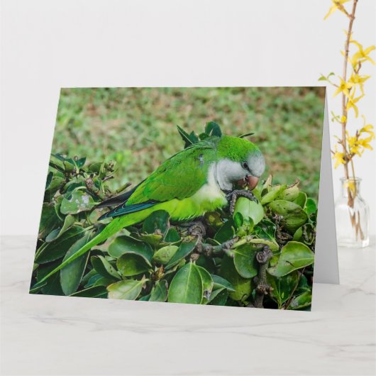 Groene papegaai kaart (Gele Bloem)