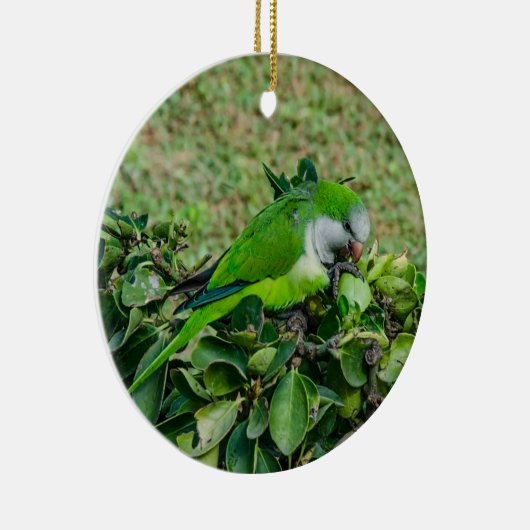 Groene papegaai keramisch ornament (Rechts)