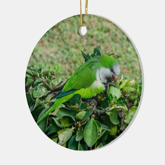 Groene papegaai keramisch ornament (Links)
