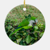 Groene papegaai keramisch ornament (Achterkant)