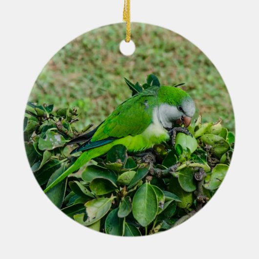 Groene papegaai keramisch ornament (Achterkant)