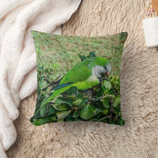 Groene papegaai kussen (Deken)