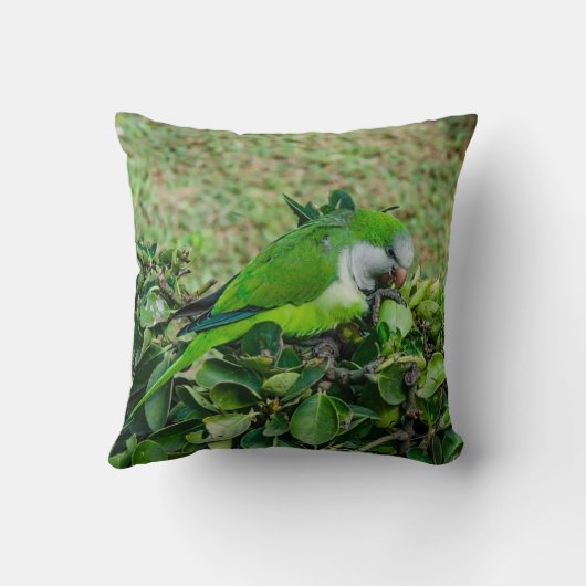 Groene papegaai kussen (Achterkant)