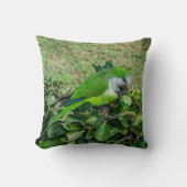 Groene papegaai kussen (Voorkant)