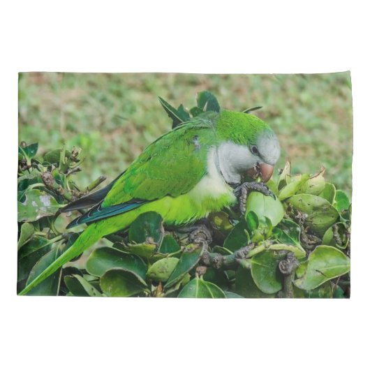 Groene papegaai kussensloop (Achterkant)