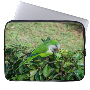 Groene papegaai laptop sleeve