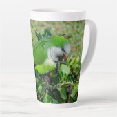 Groene papegaai latte mok (Rechterhoek)