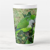 Groene papegaai latte mok (Voorkant)