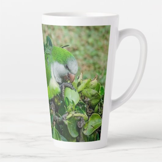 Groene papegaai latte mok (Rechts)
