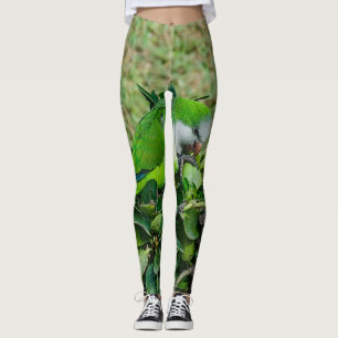 Groene papegaai leggings