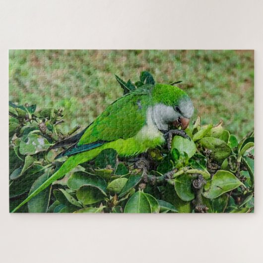 Groene papegaai legpuzzel (Horizontaal)