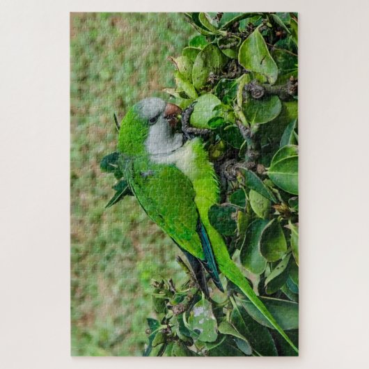 Groene papegaai legpuzzel (Verticaal)