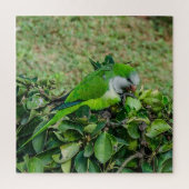 Groene papegaai legpuzzel (Verticaal)