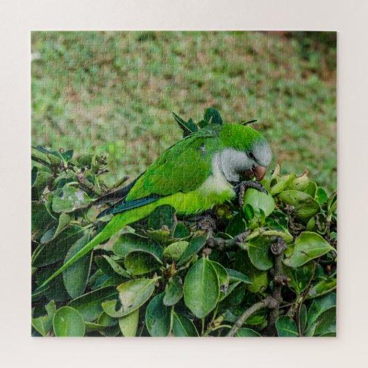 Groene papegaai legpuzzel (Verticaal)