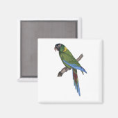 Groene papegaai Macaw Fine Art Natuur Schilderen Magneet (Voorkant / Achterkant)