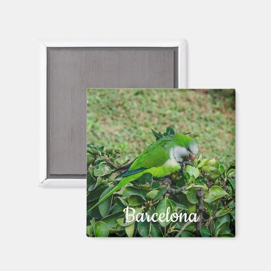 Groene papegaai magneet (Voorkant / Achterkant)