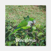 Groene papegaai magneet (Voorkant)