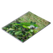 Groene papegaai notitieboek (Linkerzijde)