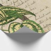 Groene papegaai op vertakking en bladeren cadeaupapier (Hoek)