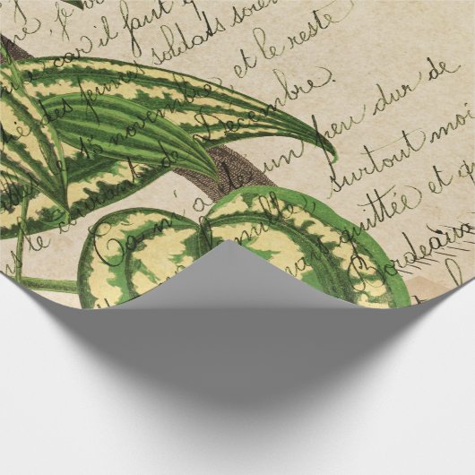 Groene papegaai op vertakking en bladeren cadeaupapier (Hoek)