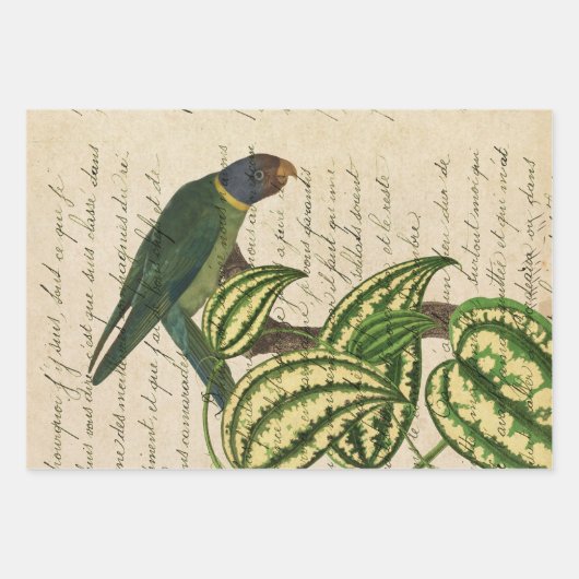 Groene papegaai op vertakking en bladeren inpakpapier vel (Voorkant 2)