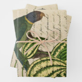 Groene papegaai op vertakking en bladeren inpakpapier vel (In situ)