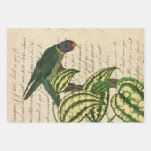 Groene papegaai op vertakking en bladeren inpakpapier vel (Voorkant)