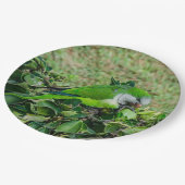 Groene papegaai papieren bordje (Gekanteld)