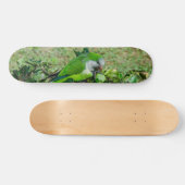 Groene papegaai persoonlijk skateboard (Horizontaal)