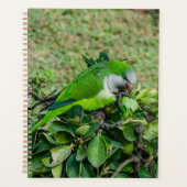 Groene papegaai planner (Voorkant)