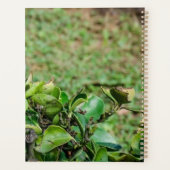 Groene papegaai planner (Achterkant)