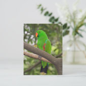 Groene papegaai portret briefkaart (Staand voorkant)