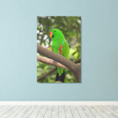 Groene papegaai portret canvas afdruk (Insitu (Houten vloer))