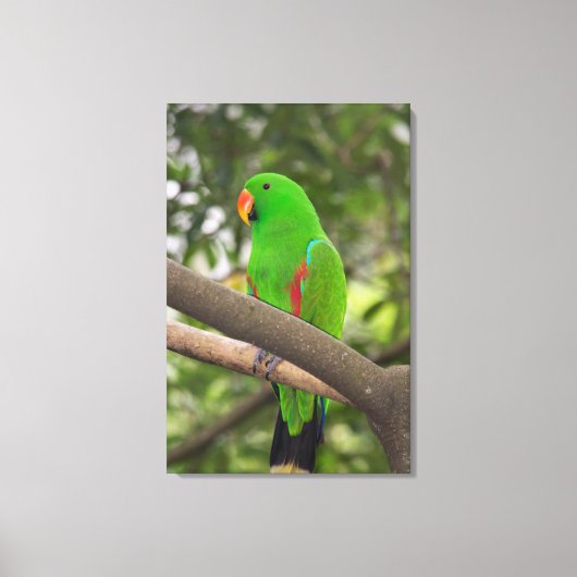 Groene papegaai portret canvas afdruk (Voorkant)