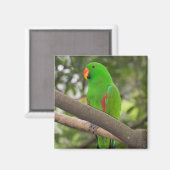 Groene papegaai portret magneet (Voorkant / Achterkant)