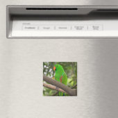 Groene papegaai portret magneet (Insitu (Vaatwasser))