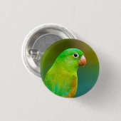  groene papegaai ronde button 3,2 cm (Voorkant /achterkant)