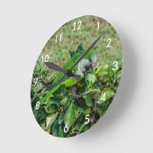 Groene papegaai ronde klok (Hoek)