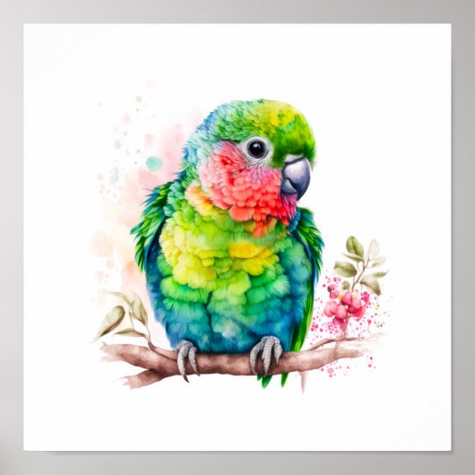 Groene papegaai - Schattigee Baby Bird Poster (Voorkant)