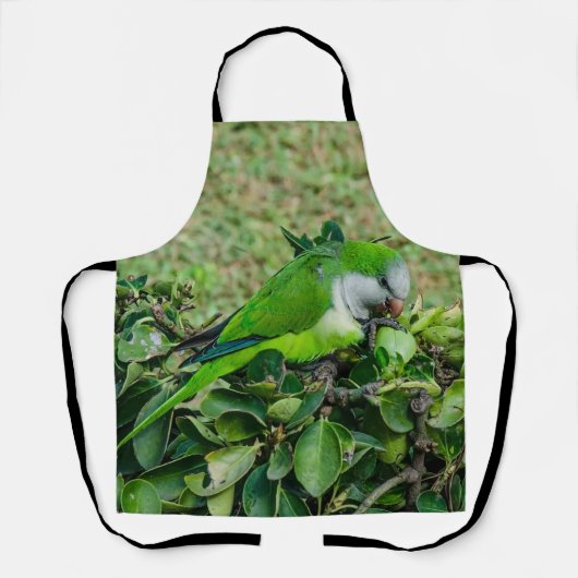 Groene papegaai schort (Voorkant)