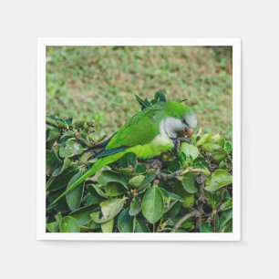 Groene papegaai servet