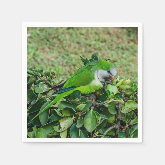 Groene papegaai servet (Voorkant)