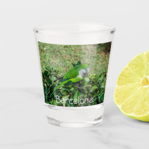 Groene papegaai shot glas