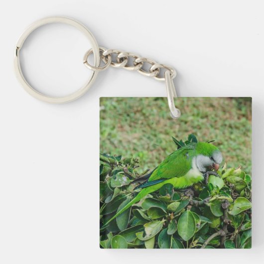 Groene papegaai sleutelhanger (Voorkant)