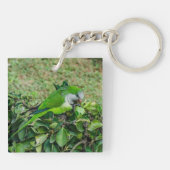 Groene papegaai sleutelhanger (Achterkant)