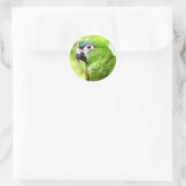 Groene papegaai Sticker 2 (Tas)