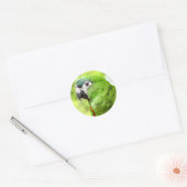 Groene papegaai Sticker 2 (Envelop)