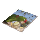 Groene papegaai tegeltje (Zijkant)