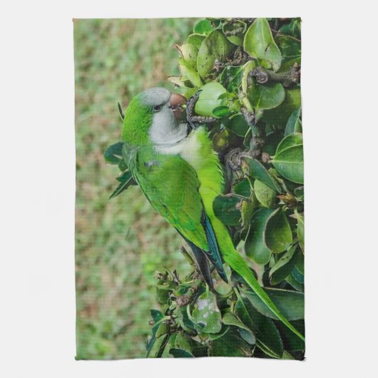 Groene papegaai theedoek (Verticaal)